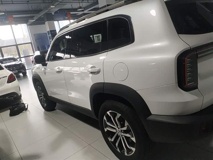 Фото 5 - Haval Dargo