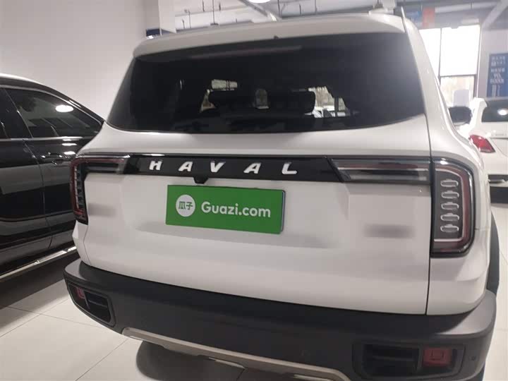 Фото 6 - Haval Dargo