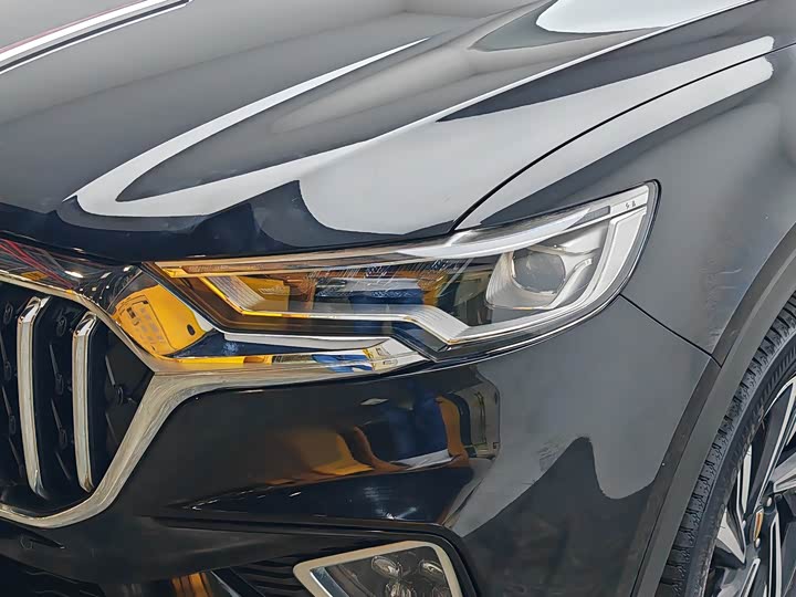 Фото 7 - Hongqi HS5