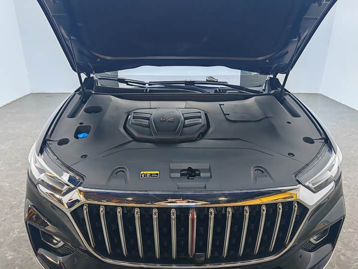 Фото 9 - Hongqi HS5