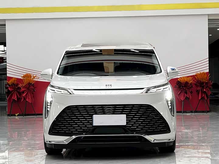 Фото 2 - Buick GL8 Century