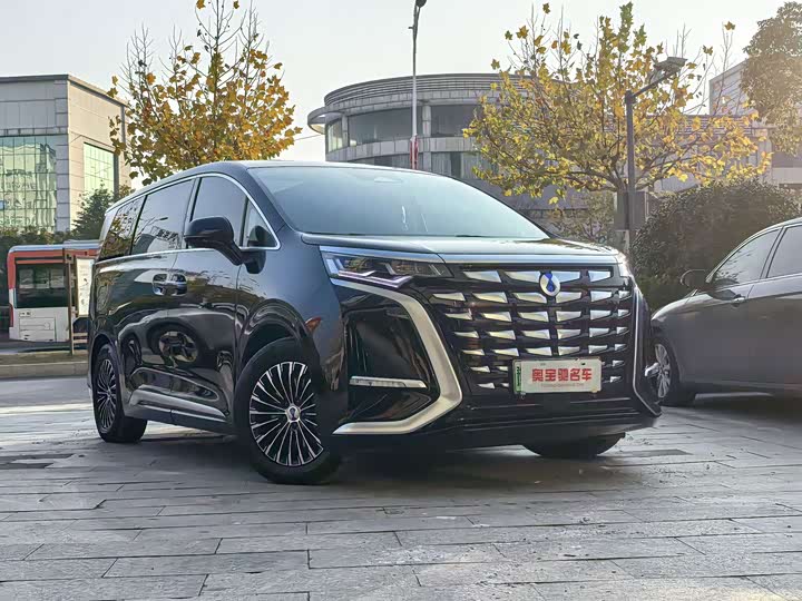 Фото 3 - Denza D9