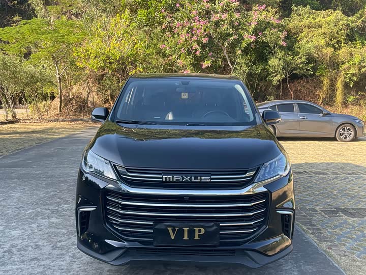 Фото 2 - Maxus G50