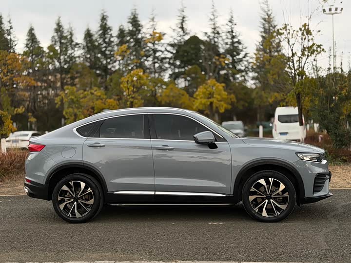 Фото 4 - Geely Tugella S