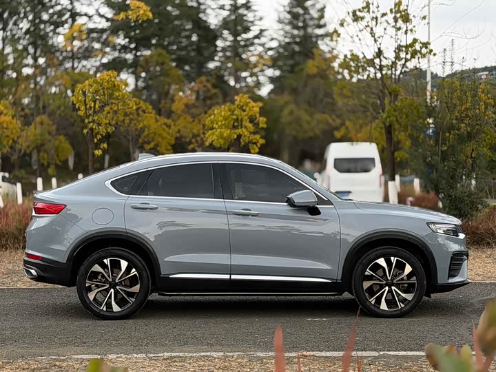 Фото 5 - Geely Tugella S