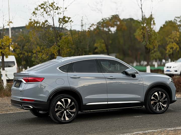 Фото 6 - Geely Tugella S