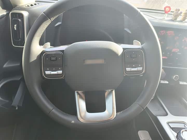 Фото 3 - Haval Dargo