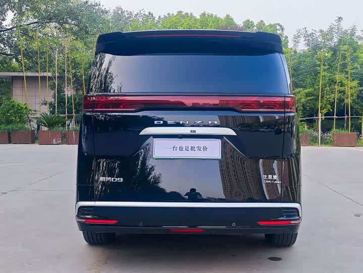 Фото 2 - Denza D9