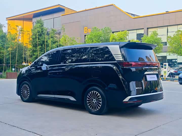 Фото 3 - Denza D9