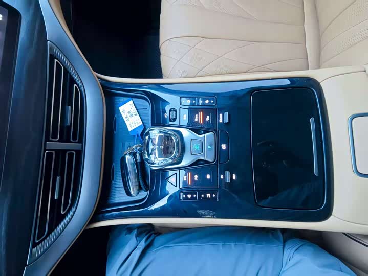 Фото 4 - Denza D9