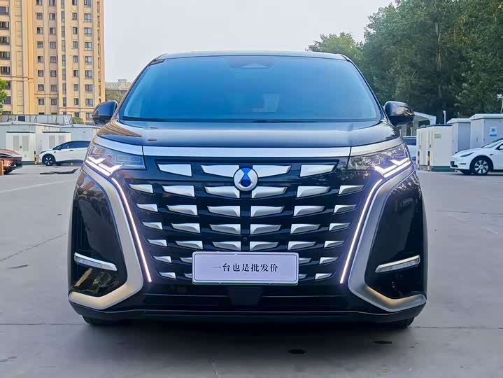 Фото 5 - Denza D9