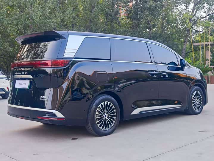 Фото 6 - Denza D9