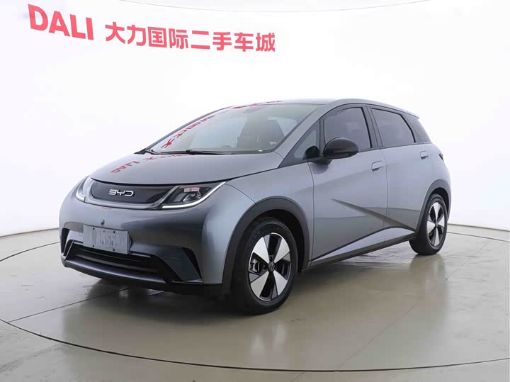 Фото 1 - BYD Dolphin