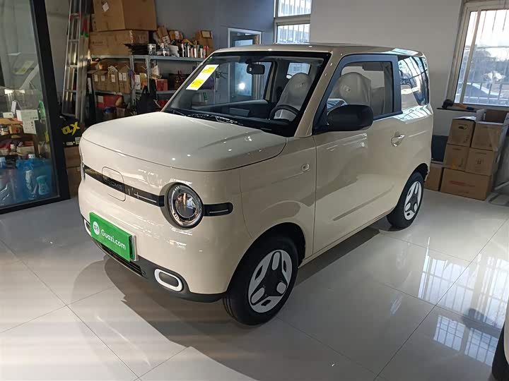 Фото 1 - Geely Galaxy Panda Mini