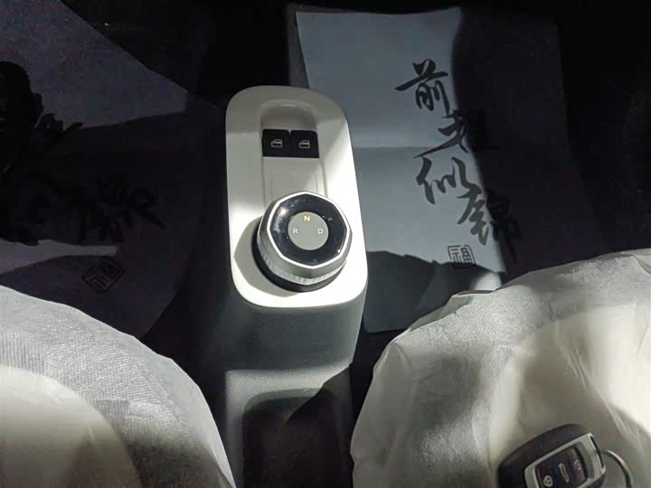 Фото 6 - Geely Galaxy Panda Mini