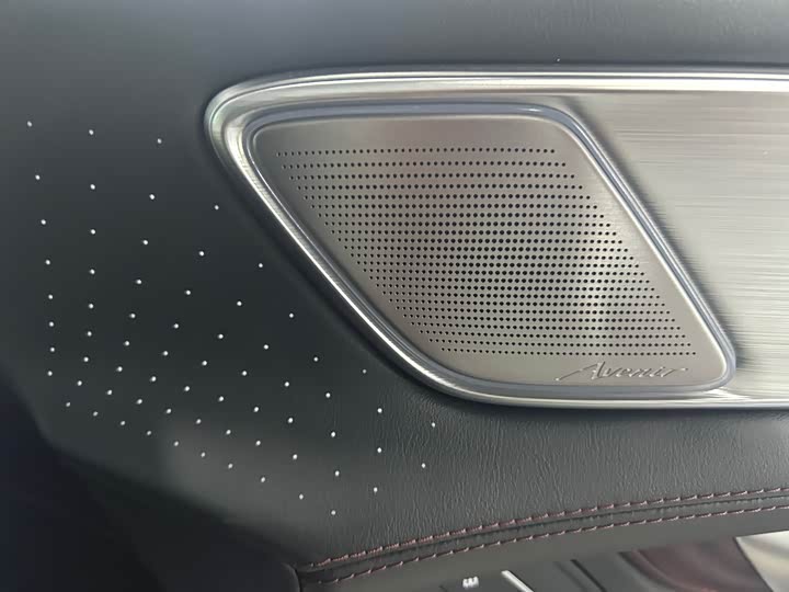 Фото 8 - Buick GL8 Century