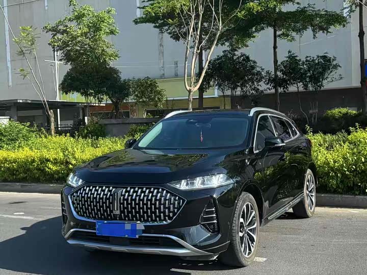 Фото 1 - Wey Mocha