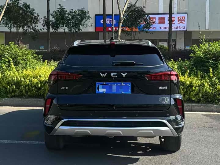 Фото 8 - Wey Mocha