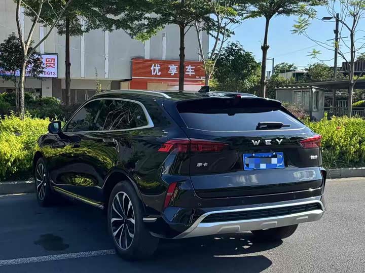 Фото 9 - Wey Mocha