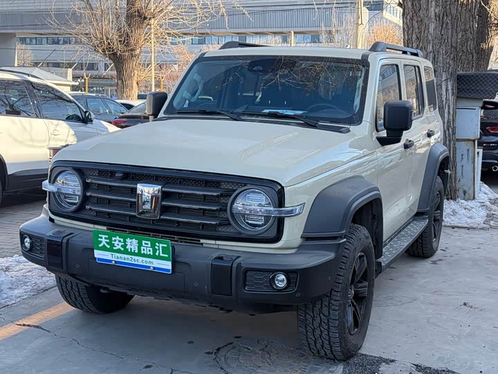 Фото 1 - Tank 300