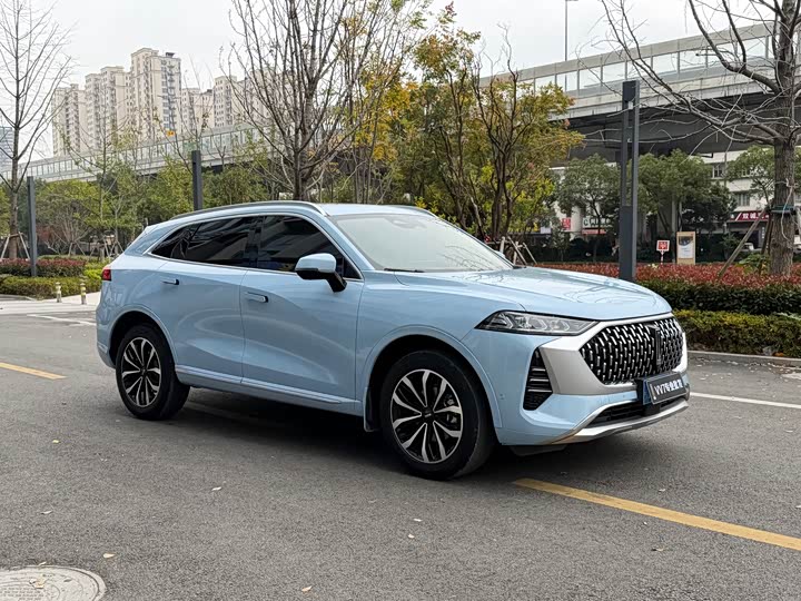 Фото 3 - Wey Mocha