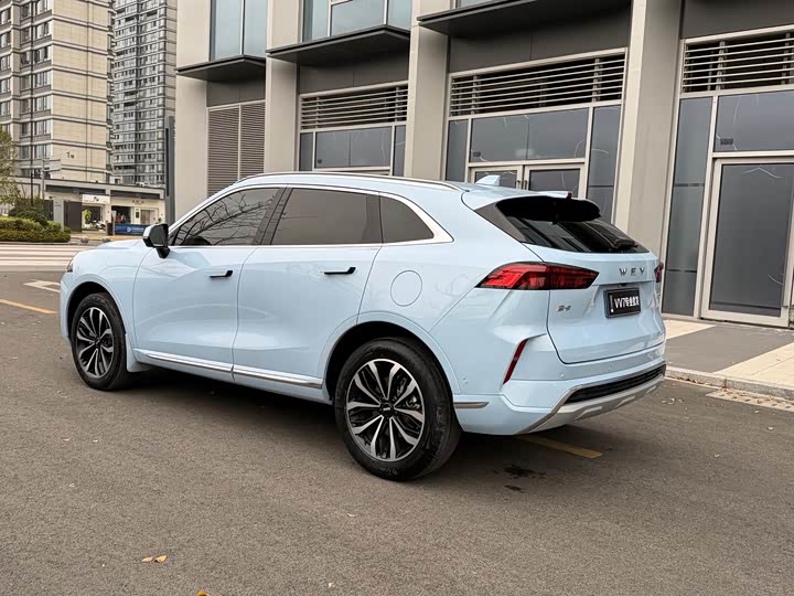 Фото 4 - Wey Mocha