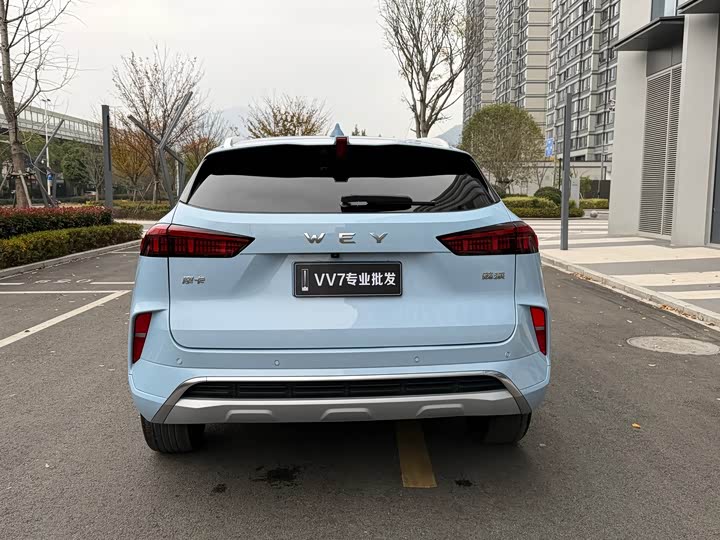 Фото 5 - Wey Mocha