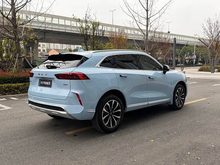 Фото 6 - Wey Mocha