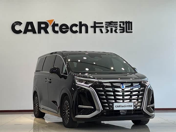 Фото 3 - Denza D9