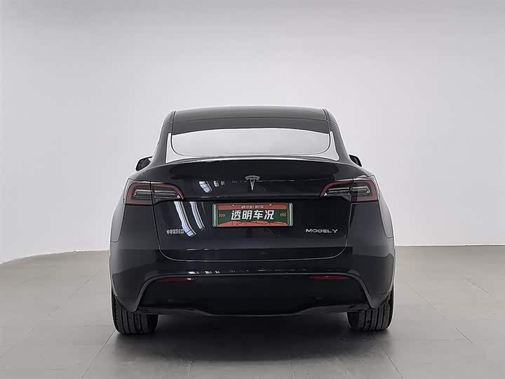 Фото 4 - Tesla Model Y