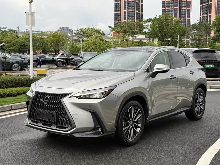 Фото 1 - Lexus NX