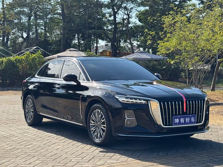 Фото 3 - Hongqi H5