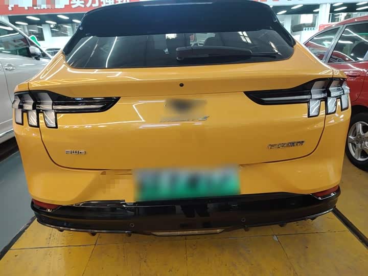 Фото 6 - Ford Mustang Mach-E