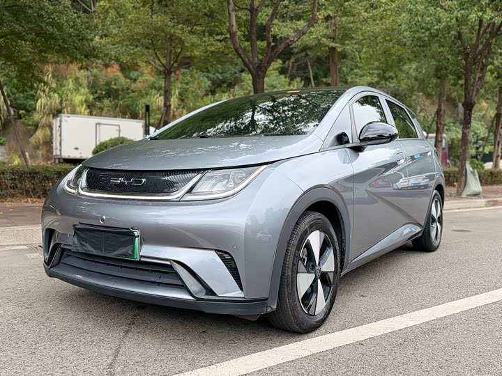 Фото 1 - BYD Dolphin