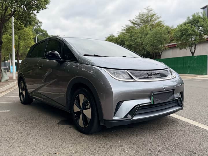 Фото 3 - BYD Dolphin