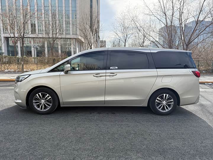 Фото 5 - Buick GL8 ES