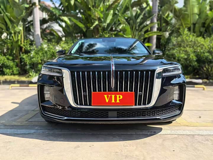 Фото 2 - Hongqi H9