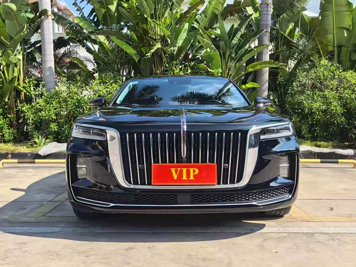 Фото 3 - Hongqi H9