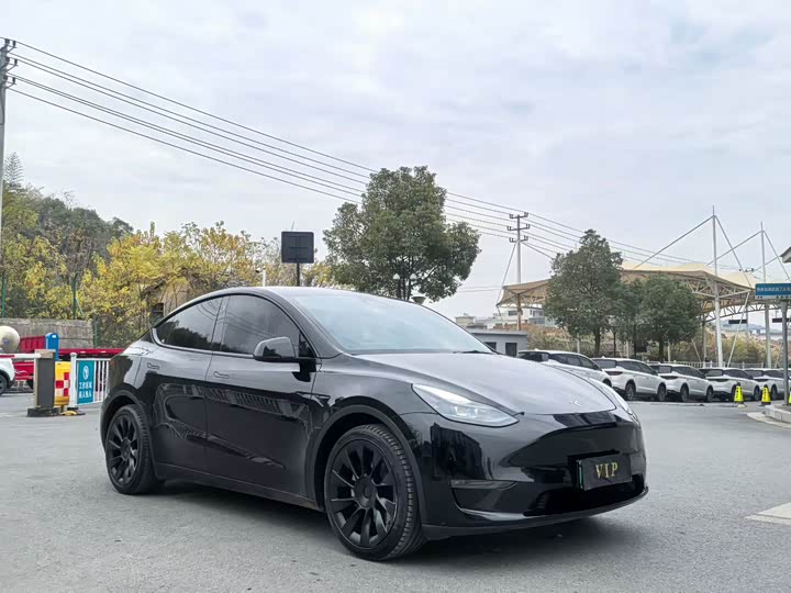 Фото 1 - Tesla Model Y