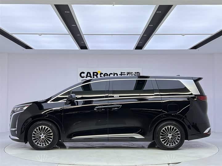 Фото 2 - Denza D9