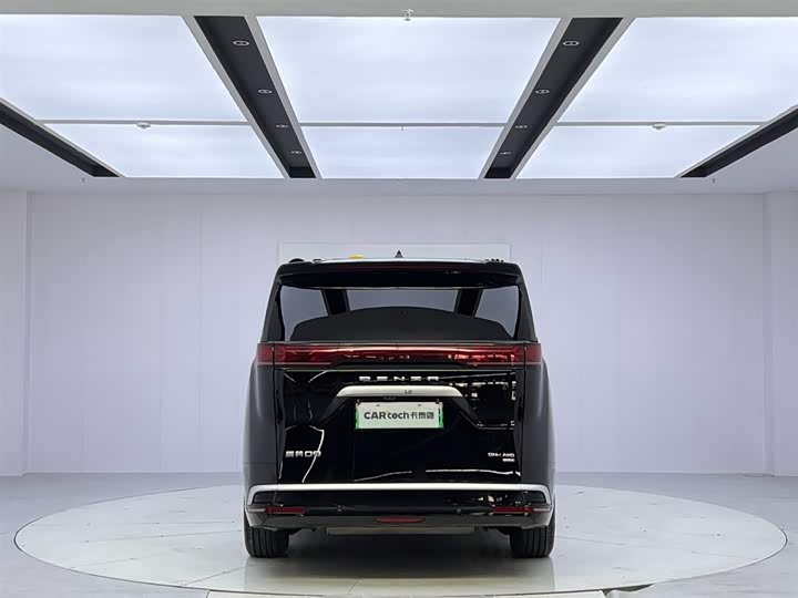 Фото 4 - Denza D9