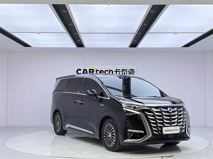 Фото 7 - Denza D9