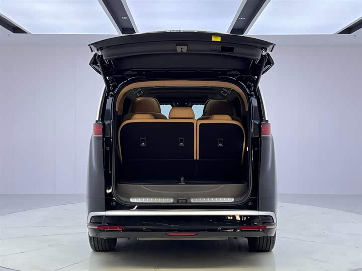 Фото 9 - Denza D9