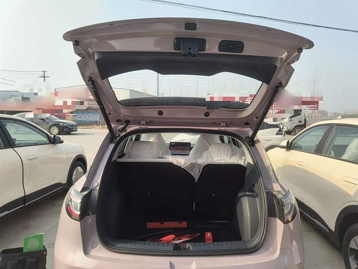 Фото 9 - Geely Galaxy Geome