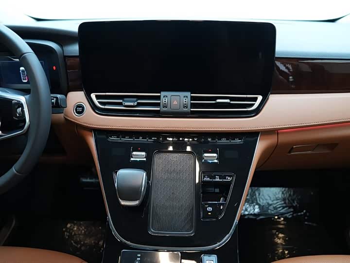 Фото 9 - Hongqi HQ9 Hybrid