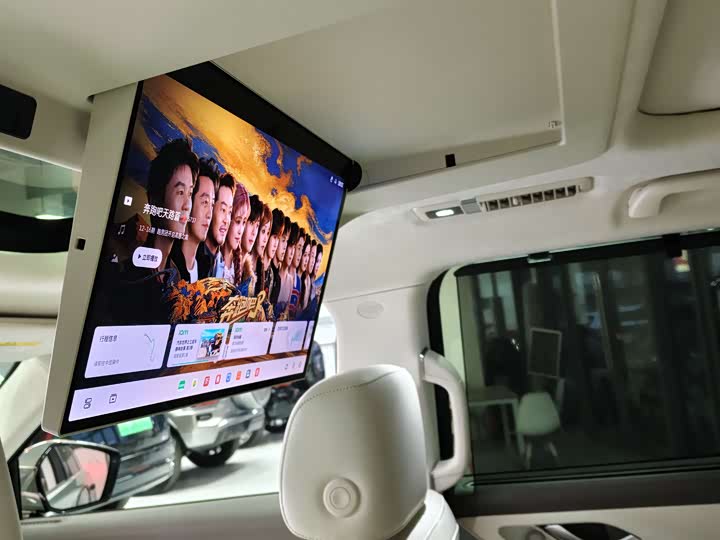 Фото 7 - Wey Lanshan