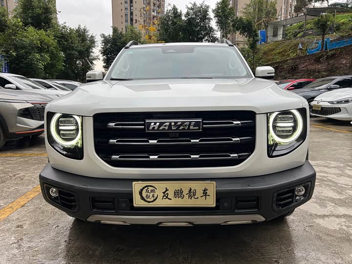 Фото 2 - Haval Dargo