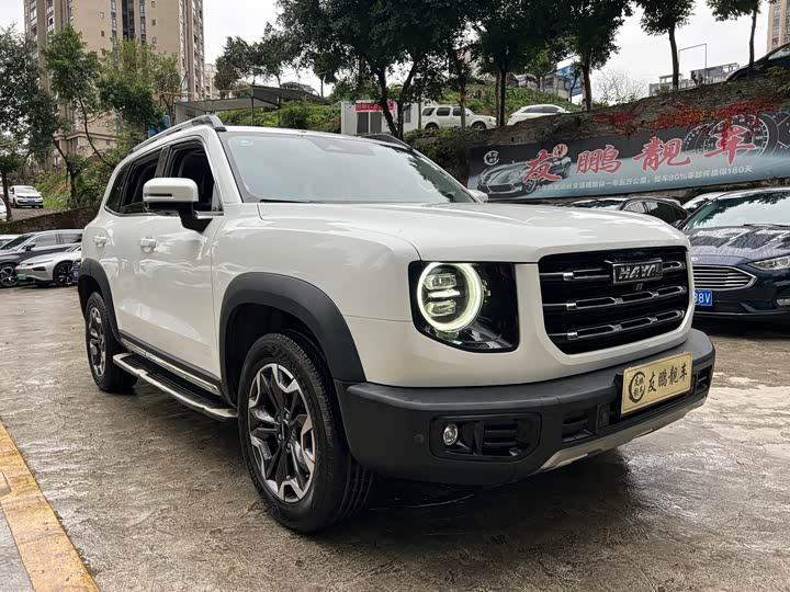 Фото 3 - Haval Dargo