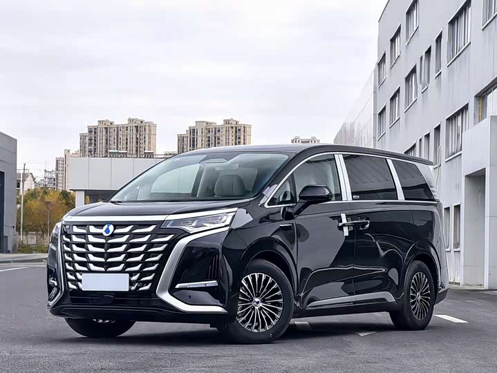 Фото 1 - Denza D9