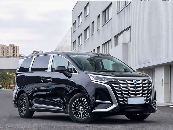 Фото 2 - Denza D9